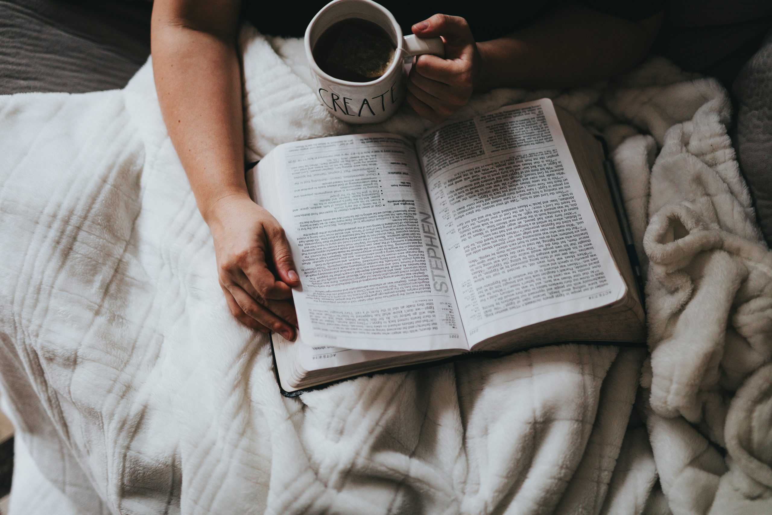 Open Bible in morning sunlight