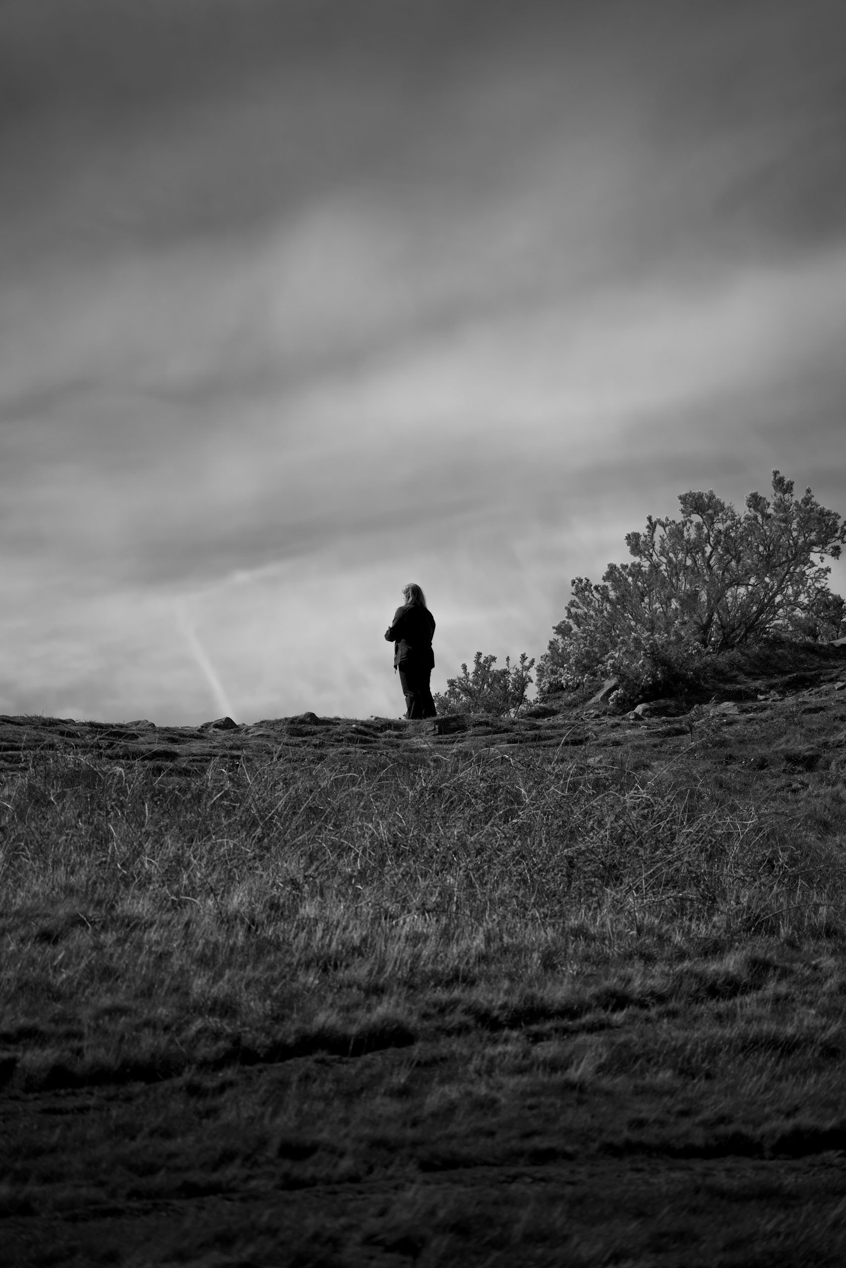 solitary figure on grassy hill by Bruno BD