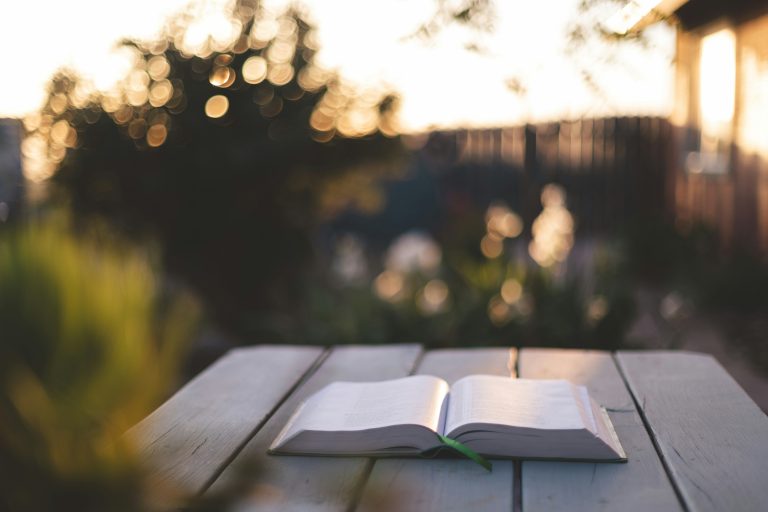 Open book on a table in morning light