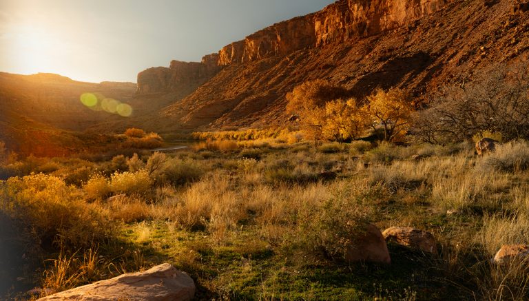 Quiet valley at dawn